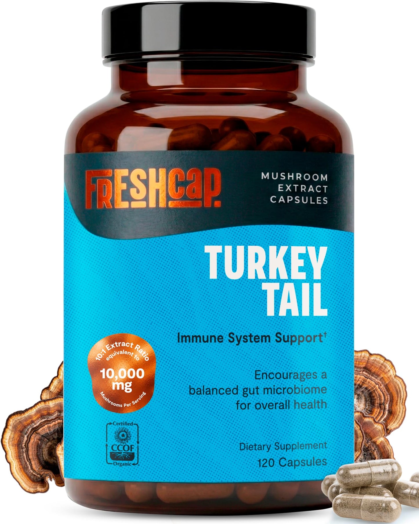 FreshCap Mushrooms Premium Organic Lions Mane Capsules - 14:1 Fruiting Body Extract with 31% Beta-Glucans - 3rd-Party Tested Nootropic for Clarity, Focus & Cognitive Support (120 Capsules)