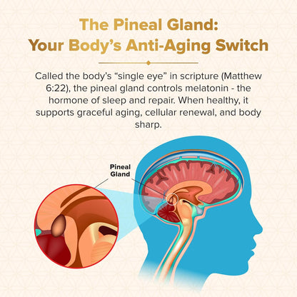 Genesis Revival - Shilajit, Lion's Mane & 8 Sacred Botanicals | Nourish the Pineal Gland for Energy, Mental Clarity, Graceful Aging & a Return to Your Eden State, 60 Count