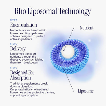 Rho Nutrition Liposomal Berberine Capsules - Ultra High Absorption Supplement – Supports Immune Function, Gut Health and Metabolic and Cardiovascular Health (60 Capsules)