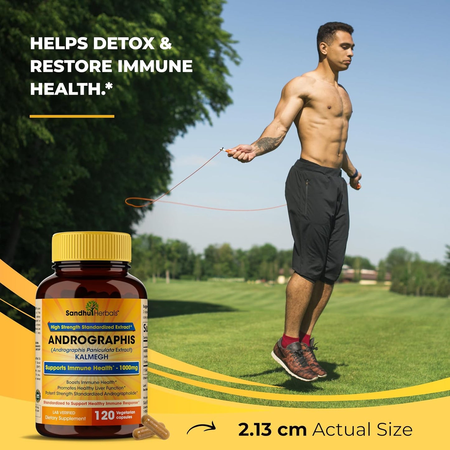 Andrographis Paniculata Kalmegh for Immune and Liver Health Support| 120 Vegetarian Capsules, 2 Months Supply| Ayurvedic Herbal Vegetarian Supplement Complex