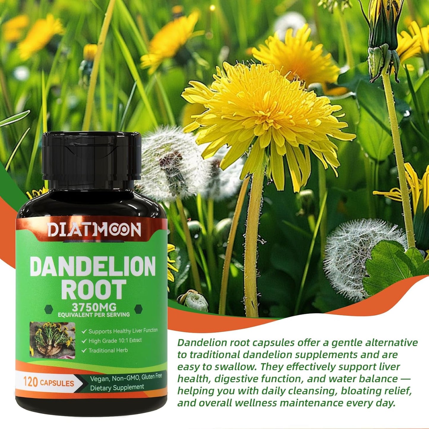 Dandelion Root Supplement 3750mg, 100% Vegetarian, Non-GMO, Gluten Free, 120 Capsules, 4 Month Supply