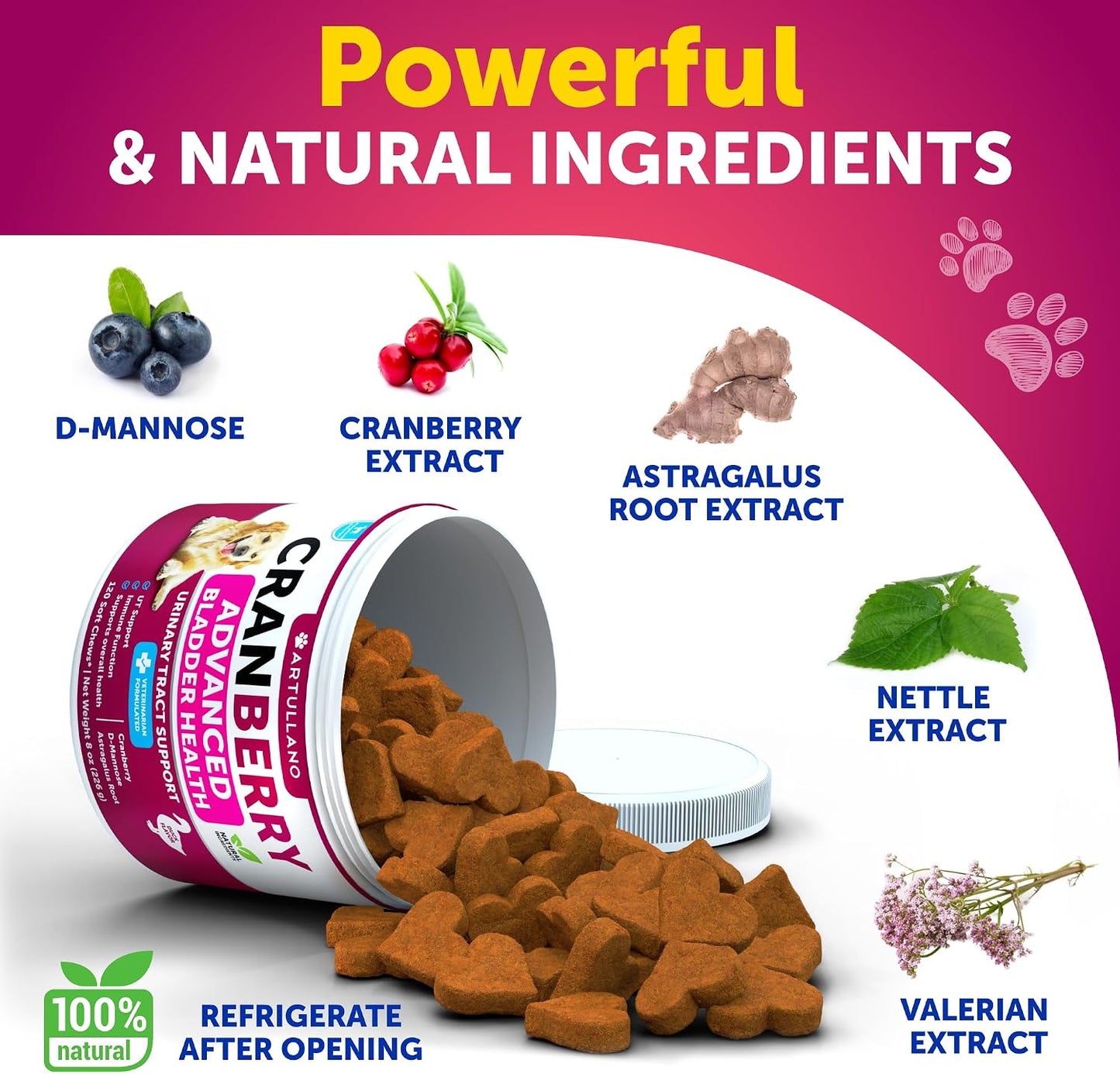 Dog UT Treats - Cranberry Chews for Dogs - Urinary Tract & Bladder Support Supplement with Natural Cranberry Extract - Tasty 120 Soft Bites for Daily Wellness with Fish Oil, Pumpkin, D-Mannose