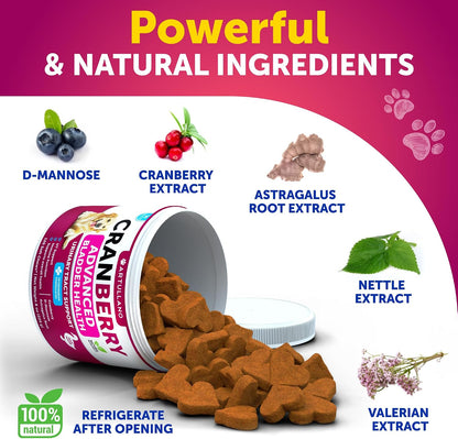 Dog UT Treats - Cranberry Chews for Dogs - Urinary Tract & Bladder Support Supplement with Natural Cranberry Extract - Tasty 120 Soft Bites for Daily Wellness with Fish Oil, Pumpkin, D-Mannose