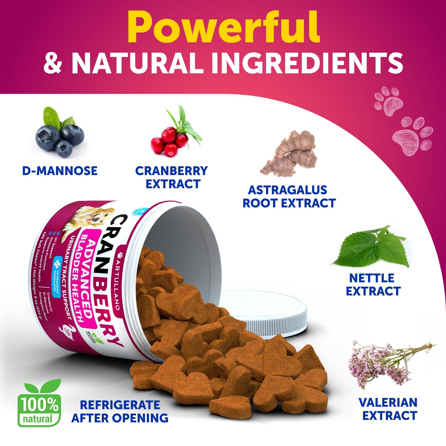 Dog UT Treats - Cranberry Chews for Dogs - Urinary Tract & Bladder Support Supplement with Natural Cranberry Extract - Tasty 120 Soft Bites for Daily Wellness with Fish Oil, Pumpkin, D-Mannose