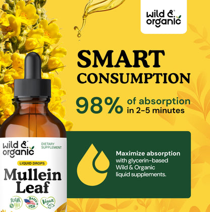 Wild & Organic Mullein Drops for Lungs - Cleanse and Detox - Liquid Mullein Leaf Extract for Lungs with Echinacea - Add to Tea - Verbascum Thapsus Tincture - Sugar & Alcohol-Free Supplement - 4 fl oz