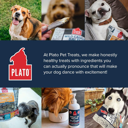 Plato Pet Treats Fish Dog Treats - Air-Dried, Single Ingredient Pet Treat - Omega 3 & 6 Fatty Acids to Support Skin and Coat - 100% Whole Fish - Wild Caught Baltic Sprat - 3 oz - 2 Pack