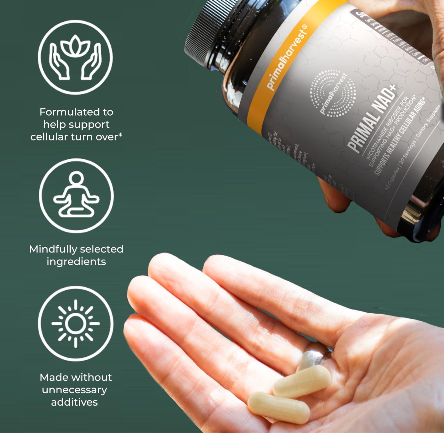 Primal Harvest NAD+ - Daily Vegan Supplement, Gluten & Dairy Free