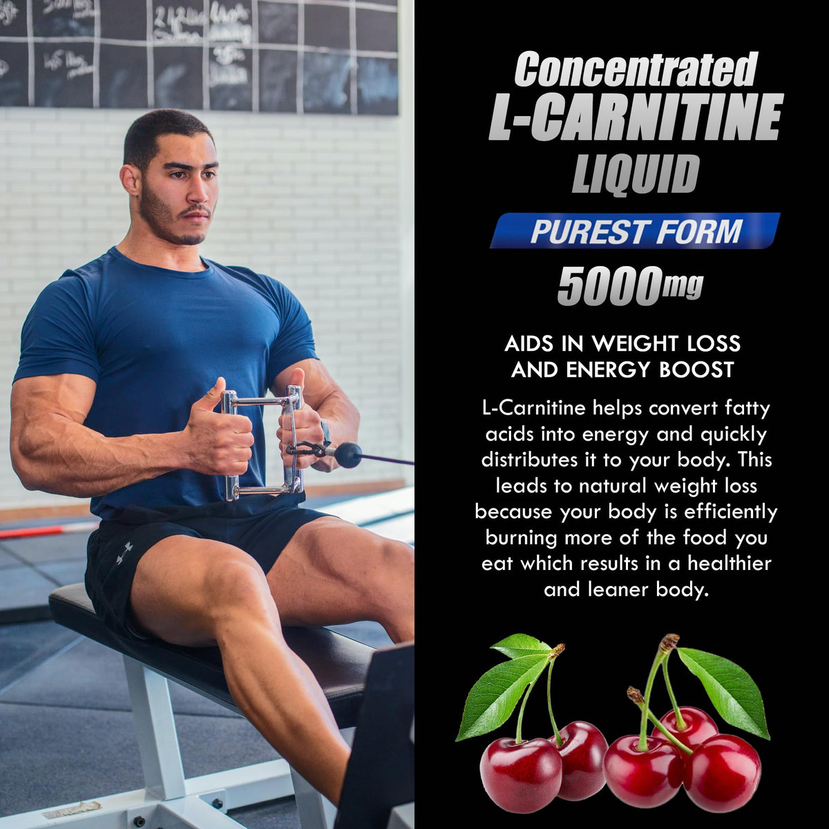 Parker Naturals L-Carnitine 5000 Mg Premium Dietary Supplement Liquid - 16 Oz All Natural