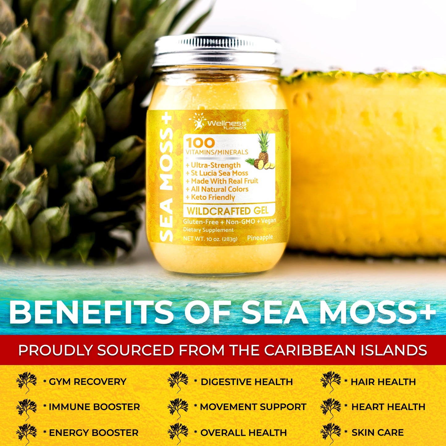 WELLNESS LABSRX Irish Sea Moss Gel Raw - Wildcrafted Superfood Seamoss Gel - Pineapple Mango Flavor, Vitamin and Mineral-Rich from Pristine Caribbean Waters - 10 oz.