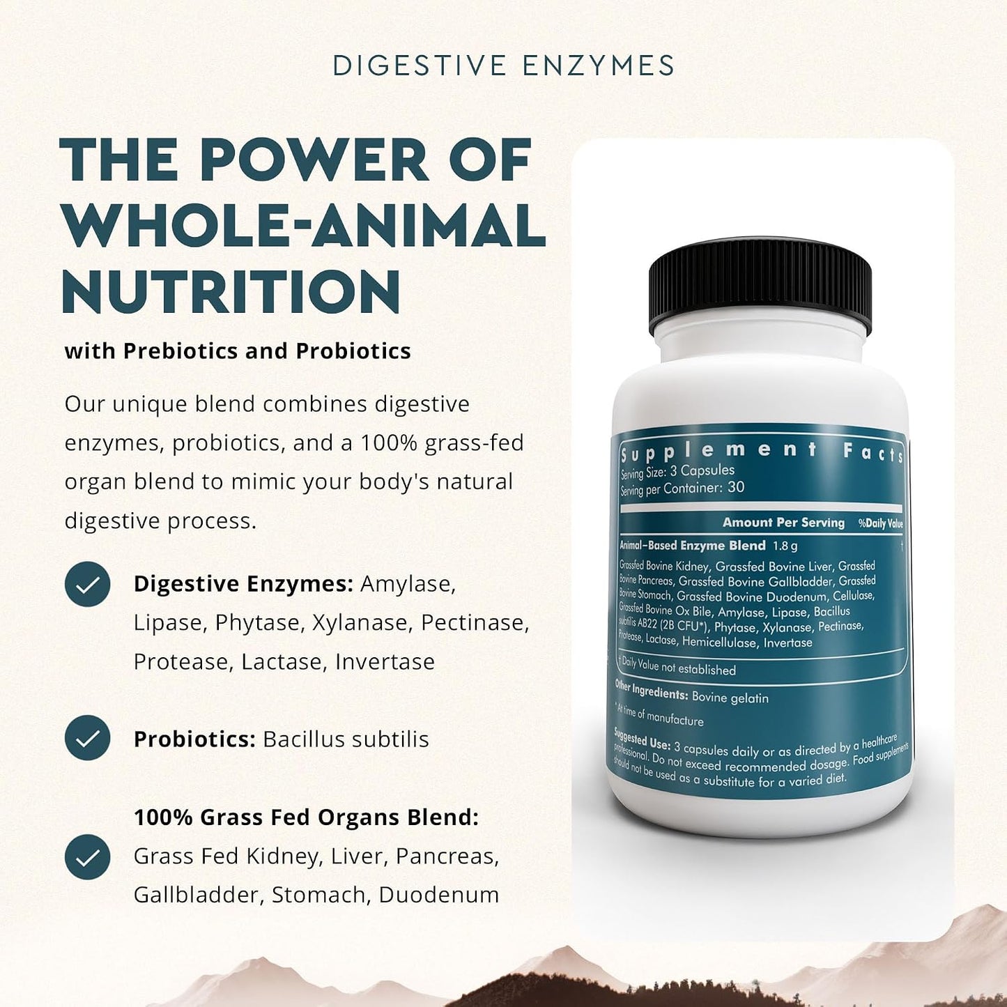 Ancestral Supplements Digestive Enzymes for Women & Men, 90 Ct | Probiotics plus grass fed beef organ supplements support gut health, digestion and nutrient absorption.
