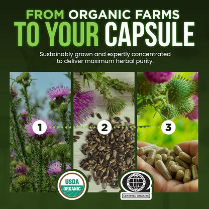 OmniBiotics Organic Milk Thistle Supplement 1500mg – 4X Concentrated Extract with Silymarin – High Potency Liver Detox & Support – 120 Vegan Capsules (Pack of 2)