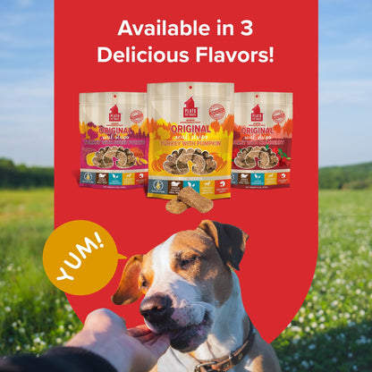 Plato Real Strips Salmon Recipe Dog Treats, Air-Dried High-Protein Soft Strips, Omega-Rich Skin & Coat Support, 18 oz
