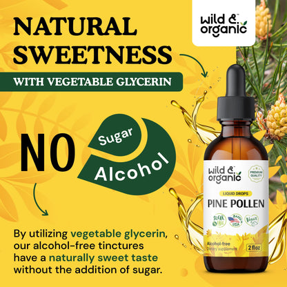 Wild & Organic Pine Pollen Tincture - Pine Pollen for Men & Women - Add to Tea & Drink - Pure Pinus Massoniana Extract Drops - Vegan, Sugar & Alcohol-Free Liquid Supplement - 4 fl oz