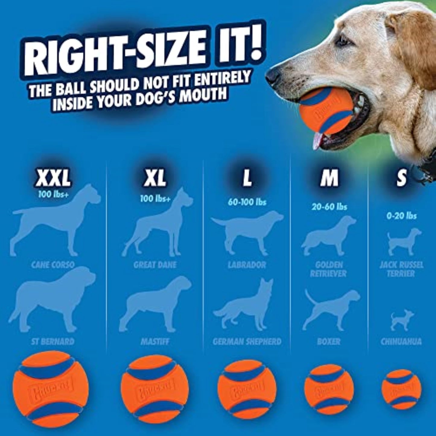 Chuckit! Ultra Ball Dog Toy - Medium Bouncy Fetch Balls For Dogs 20-60 lbs - Made from Durable Rubber - Floating Water Pet Toys - Size Medium - 2.5-inch Diameter - Pack of 2 | Bouncy durable rubber design for pups 20-60 lbs, high bounce action for active