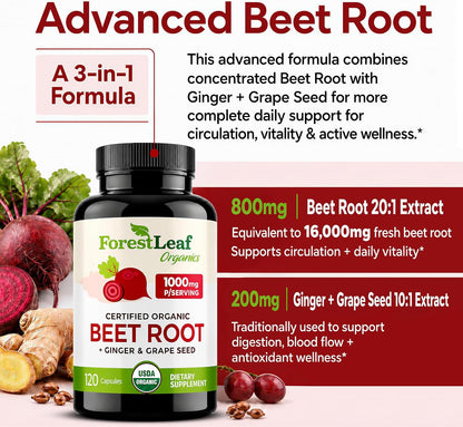ForestLeaf USDA Organic Beet Root Capsules - Beetroot Supplement 1000mg 20:1 Extract w/Ginger Grape Seed - Support Blood Pressure, Nitric Oxide, Flow, Circulation - Made in USA - 120 Caps
