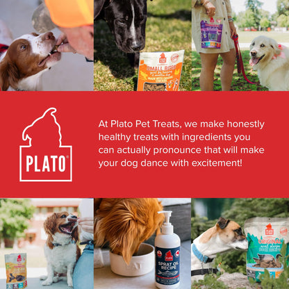 Plato Real Strips Salmon Recipe Dog Treats, Air-Dried High-Protein Soft Strips, Omega-Rich Skin & Coat Support, 18 oz