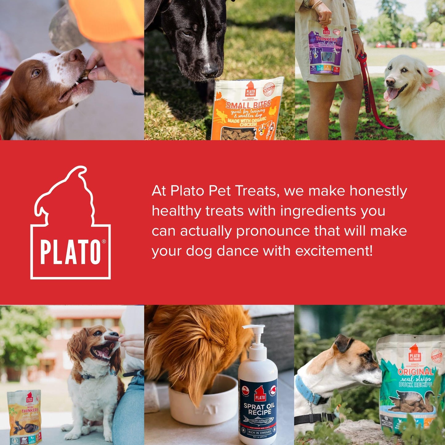 Plato Real Strips Salmon Recipe Dog Treats, Air-Dried High-Protein Soft Strips, Omega-Rich Skin & Coat Support, 18 oz