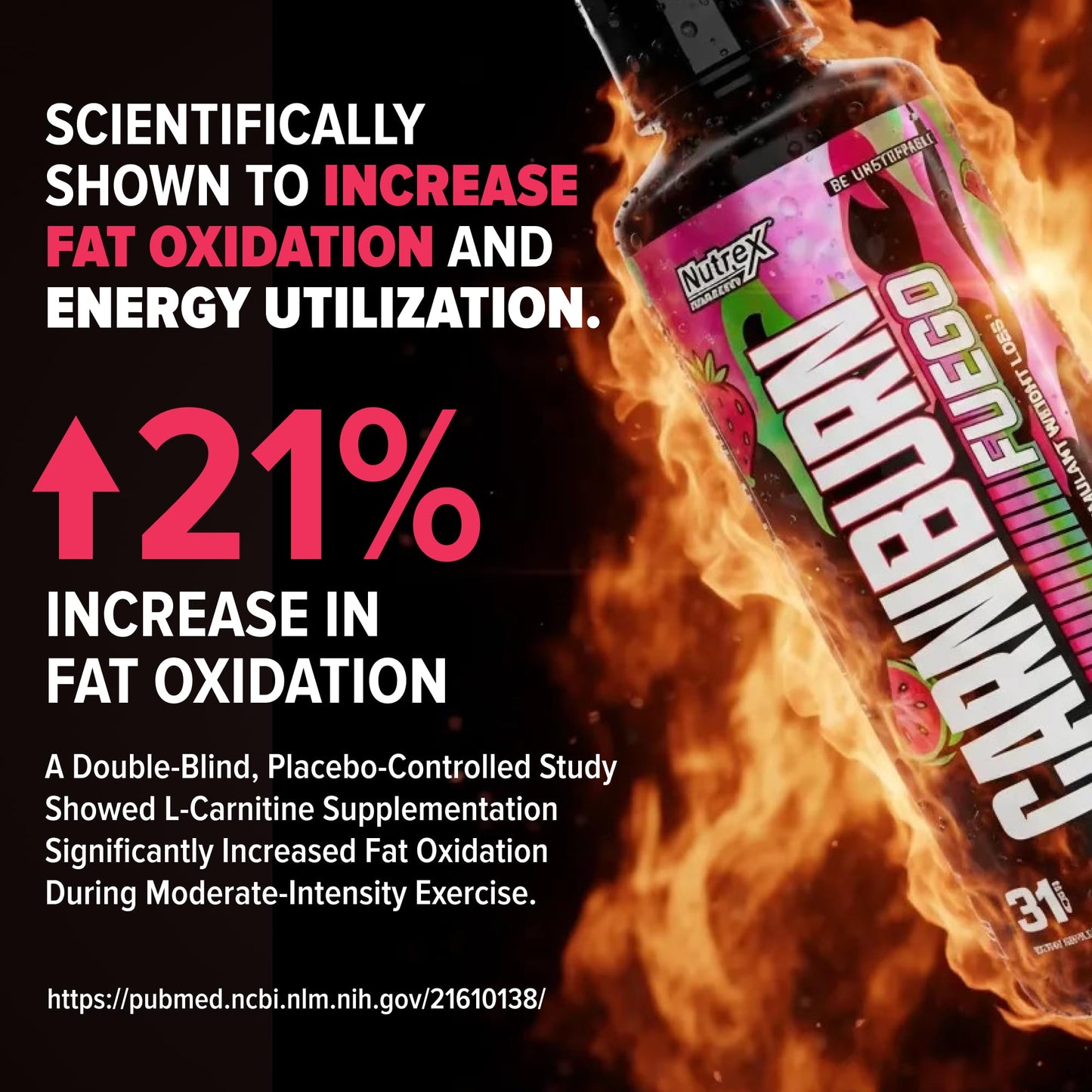 Nutrex Research Carniburn Liquid L Carnitine 3000mg – Thermogenic Liquid Fat Burner for Men & Women with MitoBurn, InnoSlim, GBBGO - Stimulant Free Metabolism Booster - Strawberry Watermelon 31 SV