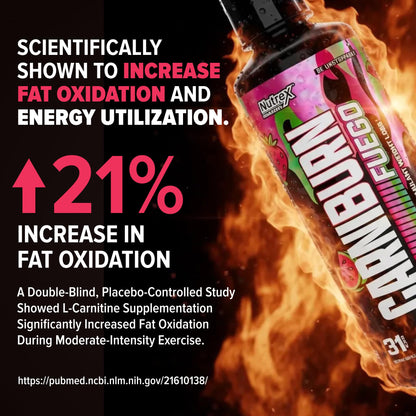 Nutrex Research Carniburn Liquid L Carnitine 3000mg – Thermogenic Liquid Fat Burner for Men & Women with MitoBurn, InnoSlim, GBBGO - Stimulant Free Metabolism Booster - Strawberry Watermelon 31 SV
