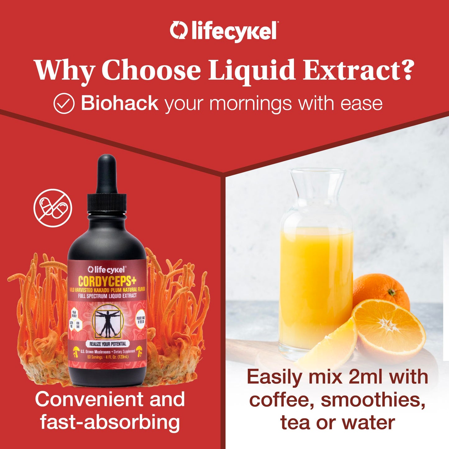 Life Cykel Cordyceps Mushroom Extract with Kakadu Plum - Energy, Stamina & Vitality Support, Natural Aging Supplement - Non-GMO and Vegan Tincture - 4Fl Oz