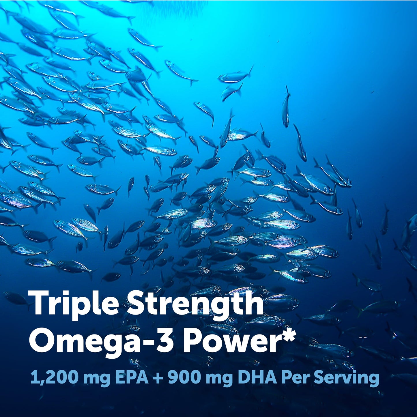 Micro Ingredients Triple Strength Omega 3 Fish Oil Supplements 4200mg Per Serving, 240 Softgels – Lemon Flavored – Burpless | EPA 1200mg + DHA 900mg | Deep Sea Fish