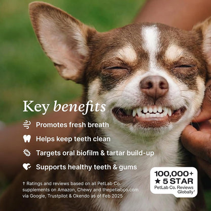PetLab Co. ProBright Dental Powder for Small Dogs, 30 Scoops | Brown algae, green tea and probiotics in one easy daily scoop to support tartar and fresh breath