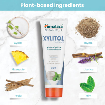 Himalaya Botanique Xylitol Fluoride-Free Toothpaste, Mint Flavor, 4 oz