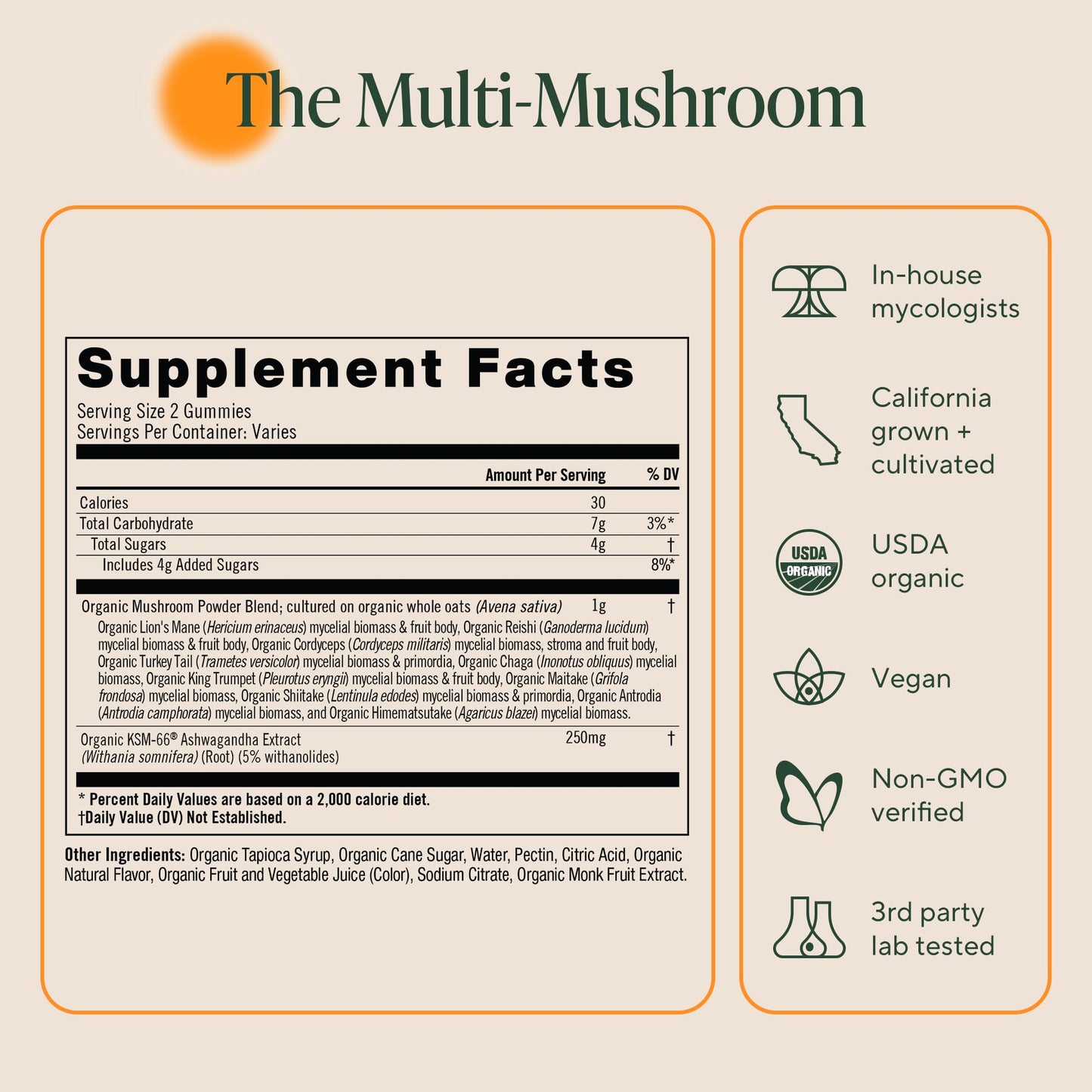 OM MUSHROOM SUPERFOOD Master Blend Mushroom Gummies – Organic 10-Mushroom Complex with Ashwagandha – Supports Immunity, Gut Health & Stress Relief – Mixed Berry Flavor – 28 Servings, 56 Count.