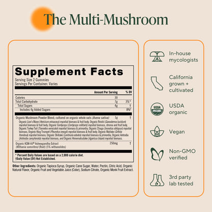 OM MUSHROOM SUPERFOOD Master Blend Mushroom Gummies – Organic 10-Mushroom Complex with Ashwagandha – Supports Immunity, Gut Health & Stress Relief – Mixed Berry Flavor – 28 Servings, 56 Count.