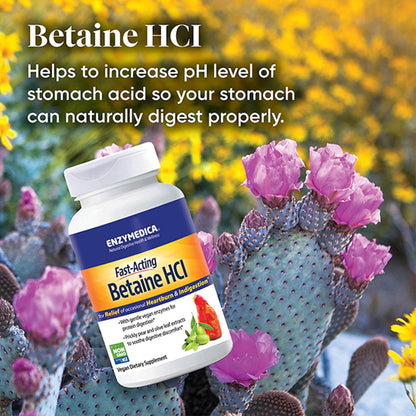 Enzymedica Betaine HCl for Men & Women - Betaine Hydrochloric Acid Supplement, Protease Digestive Enzyme Blend, Digestive Health Support, Occasional Heartburn & Indigestion Support, Vegan - 120 Caps