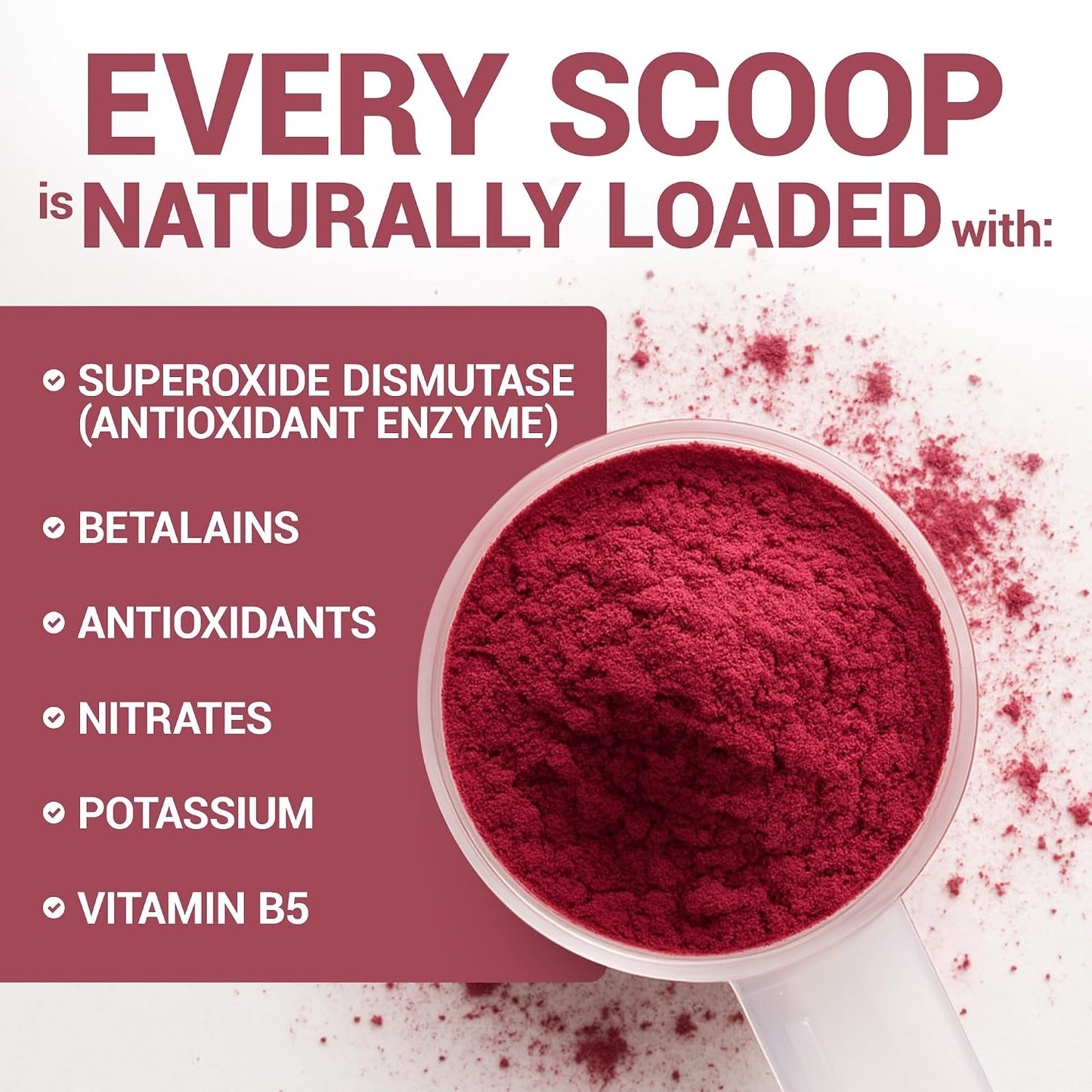 Dr. Berg Raw Organic Beet Powder from Real Earth-Grown Beets – USDA Certified Organic Beet Root Powder to Support Nitric Oxide Levels, Energy, Blood Flow, & Heart Health* – 30 Servings