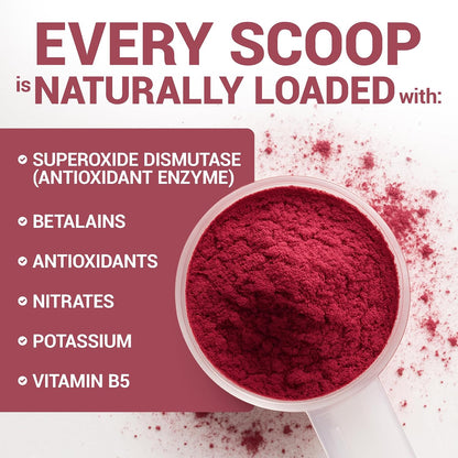 Dr. Berg Raw Organic Beet Powder from Real Earth-Grown Beets – USDA Certified Organic Beet Root Powder to Support Nitric Oxide Levels, Energy, Blood Flow, & Heart Health* – 30 Servings