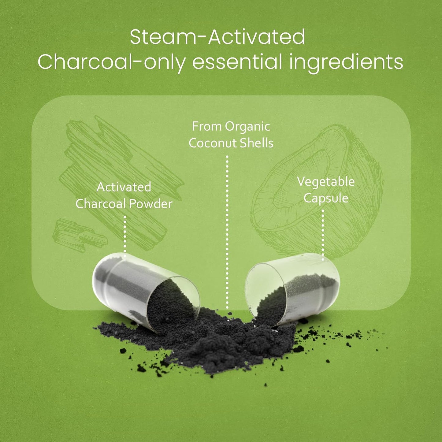 NaturaLife Labs Activated Charcoal 1200 mg per Serving – from Coconut Shells – 100 Veg Capsules – Non-GMO, Gluten-Free, Vegan
