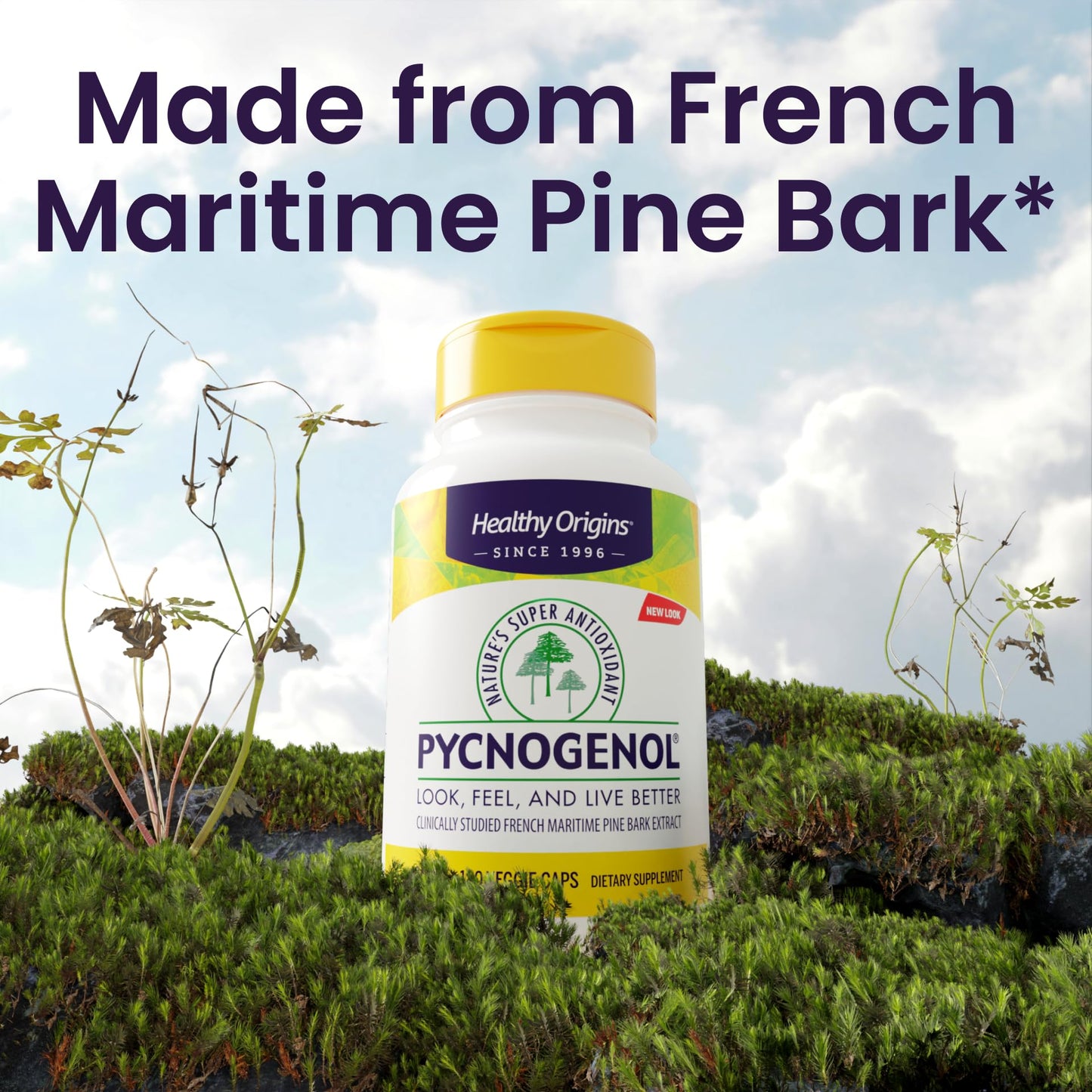 Healthy Origins Pycnogenol Pine Bark 100 mg, 60 Veggie Caps