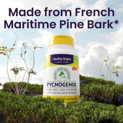 Healthy Origins Pycnogenol Pine Bark 100 mg, 60 Veggie Caps