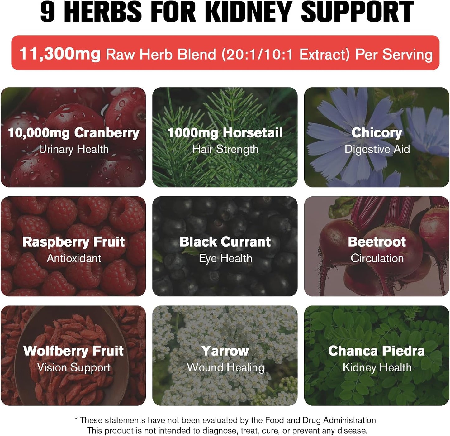 29-in-1 Kidney and Liver Cleanse Detox & Repair Drops, High Absorption Cranberry and Milk Thistle Supplement, Natural Herbal Daily Detox Support for Kidney, Liver, Urinary Tract, Bladder, 60ml