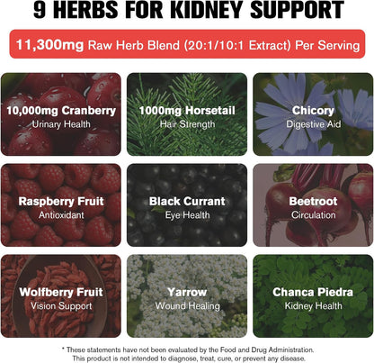 29-in-1 Kidney and Liver Cleanse Detox & Repair Drops, High Absorption Cranberry and Milk Thistle Supplement, Natural Herbal Daily Detox Support for Kidney, Liver, Urinary Tract, Bladder, 60ml