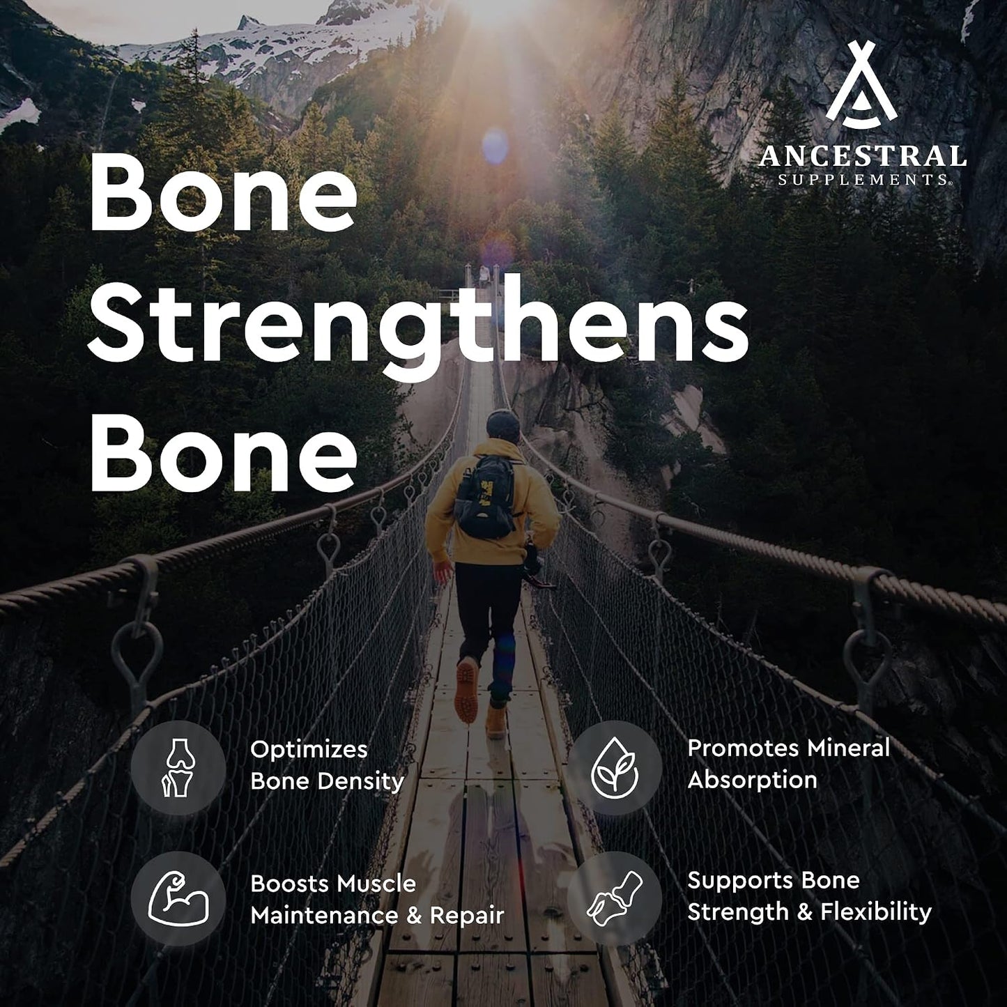 Ancestral Supplements Grass Fed Beef Living Bone Supplement, 180 Ct | Grassfed bone meal capsule supporting calcium and phosphorus absorption, bone, oral and joint health & flexibility.