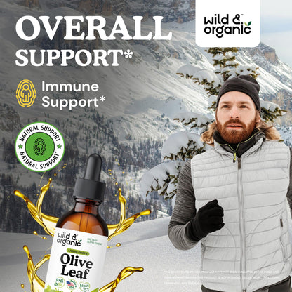 Wild & Organic Olive Leaf Extract Liquid Drops - Immune & Antioxidant Support - Oleuropein Supplement - Add to Tea Olive Leaf Tincture - Vegan, Sugar & Alcohol Free - 4 fl oz