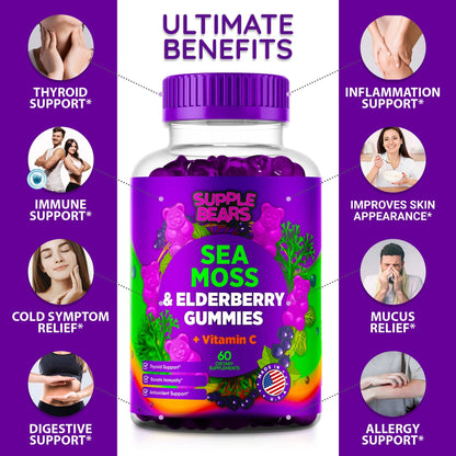 Supplebears Sea Moss Gummies & Elderberry - Vitamin C + Zinc – Extra Strength Immune