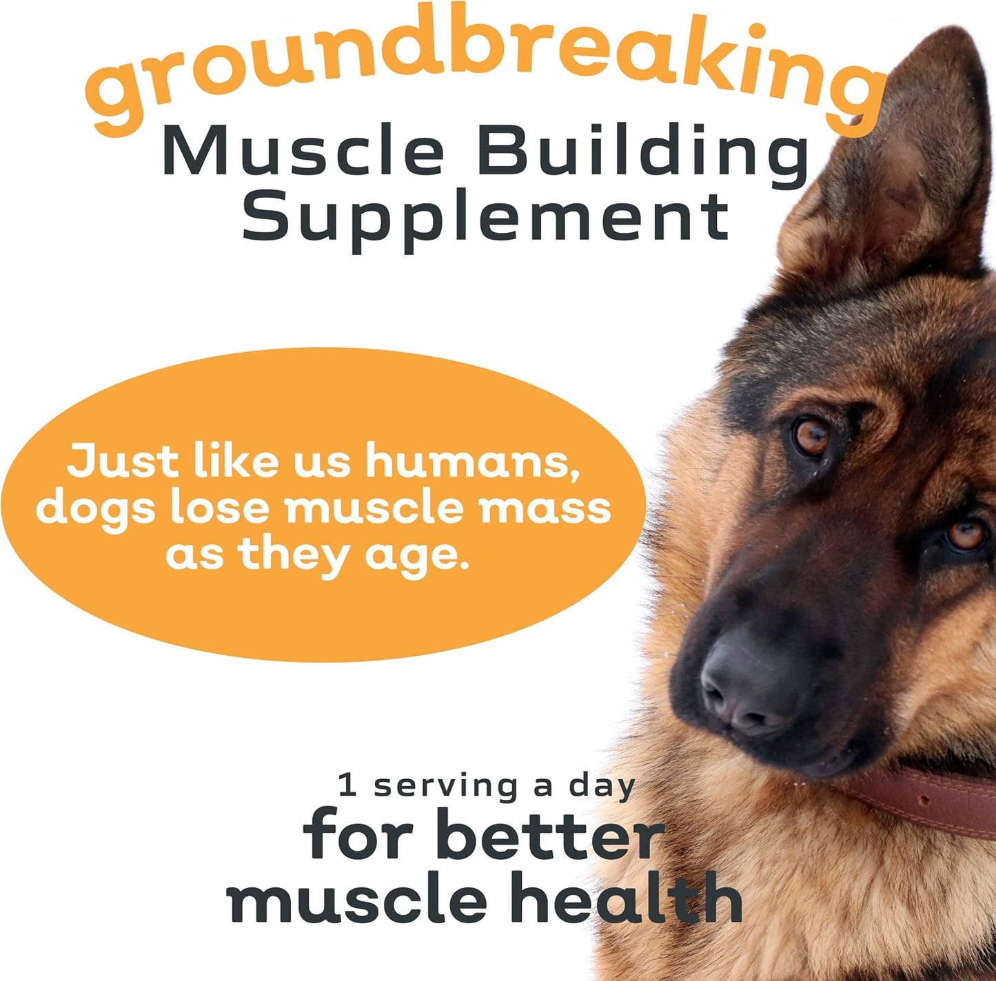 MYOS Canine Muscle & Joint Health Bundle – Fortetropin® Powder (396g) + Bacon-Flavored Mobility Chews with Collagen & Glucosamine (60 Count)