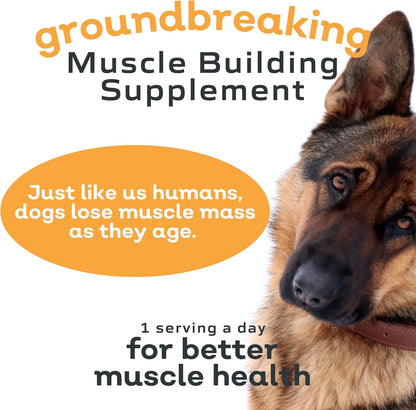 MYOS Canine Muscle & Joint Health Bundle – Fortetropin® Powder (396g) + Bacon-Flavored Mobility Chews with Collagen & Glucosamine (60 Count)