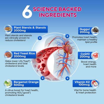 Cholesterol Lowering Supplements Gummies, Cholesterol Gummies with Plant Sterols & Stanols, Red Yeast Rice, Lower Cholesterol Naturally – Vegan, Non-GMO, Mixed Berry Flavor, 90Ct