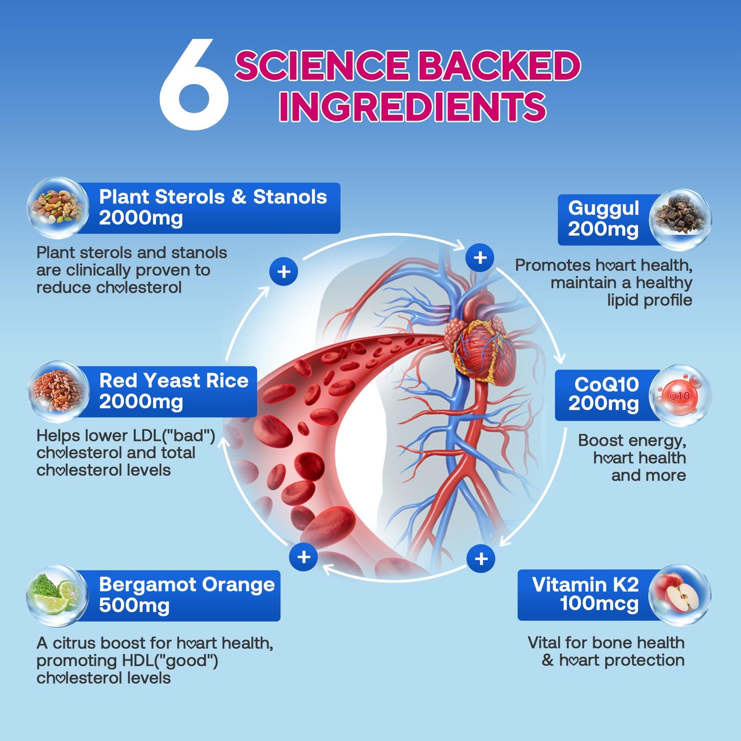 Cholesterol Lowering Supplements Gummies, Cholesterol Gummies with Plant Sterols & Stanols, Red Yeast Rice, Lower Cholesterol Naturally – Vegan, Non-GMO, Mixed Berry Flavor, 90Ct