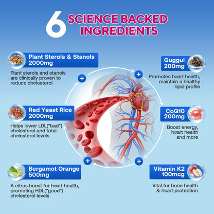 Cholesterol Lowering Supplements Gummies, Cholesterol Gummies with Plant Sterols & Stanols, Red Yeast Rice, Lower Cholesterol Naturally – Vegan, Non-GMO, Mixed Berry Flavor, 90Ct