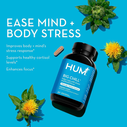 HUM Big Chill Rhodiola Rosea 500mg Focus & Calming Support, 30 Count