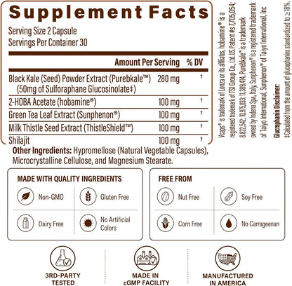 Utzy Naturals SulforaKale | 50 mg Sulforaphane | Nrf2 Support | 60 Caps