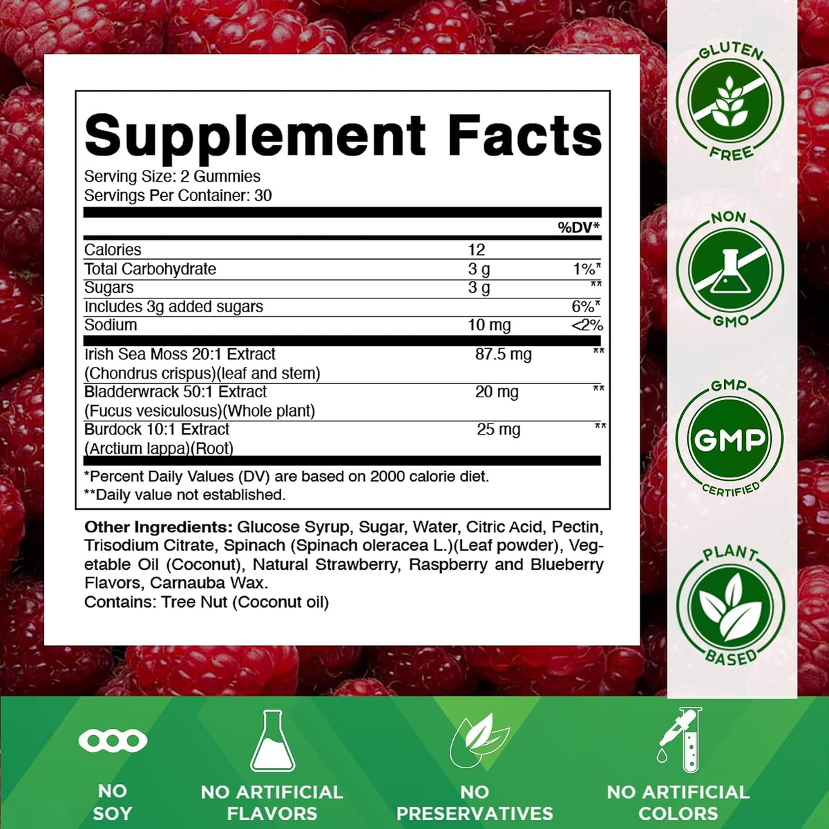 Vitamatic Sea Moss Gummies with Bladderwrack & Burdock, 60 Gummies | Premium Botanical Blend for Immune Support*, Natural Raspberry Flavor, Vegan, Non-GMO, Gluten Free.