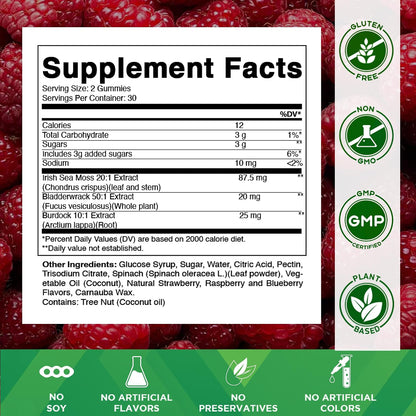 Vitamatic Sea Moss Gummies with Bladderwrack & Burdock, 60 Gummies | Premium Botanical Blend for Immune Support*, Natural Raspberry Flavor, Vegan, Non-GMO, Gluten Free.