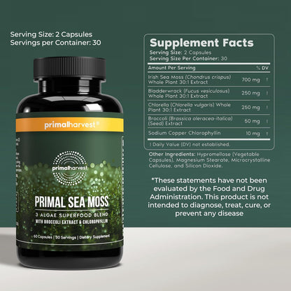 Primal Harvest Sea Moss – Daily Vegan Supplement, Dairy & Soy Free
